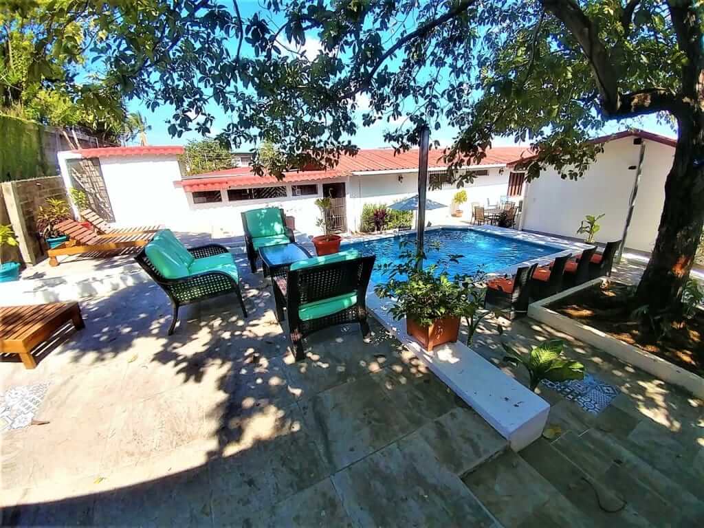 El Jardín by day: the pool under a large shade tree, green lounge chairs and potted plants on the tiled deck